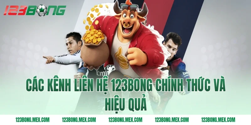 Các kênh liên hệ 123BONG chính thức và hiệu quả
