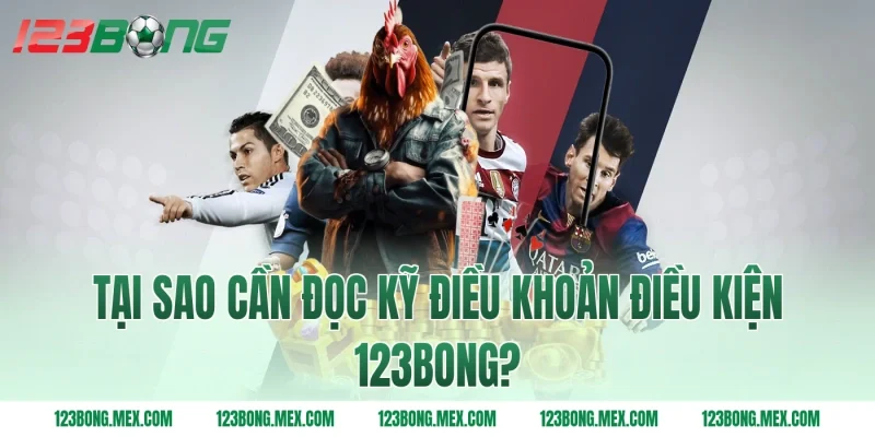 Tại sao cần đọc kỹ điều khoản điều kiện 123BONG?