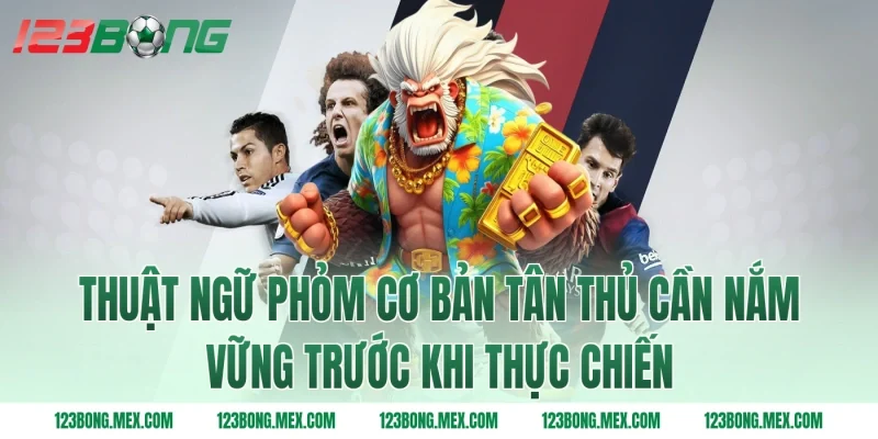 Thuật ngữ phỏm cơ bản tân thủ cần nắm vững trước khi thực chiến