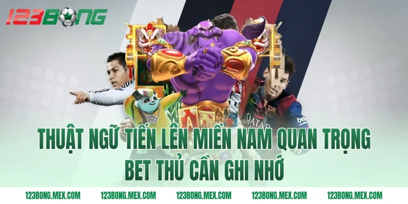 Thuật ngữ tiến lên miền Nam quan trọng bet thủ cần ghi nhớ